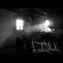 Lichtblick : Feel Free to Lose Your Life